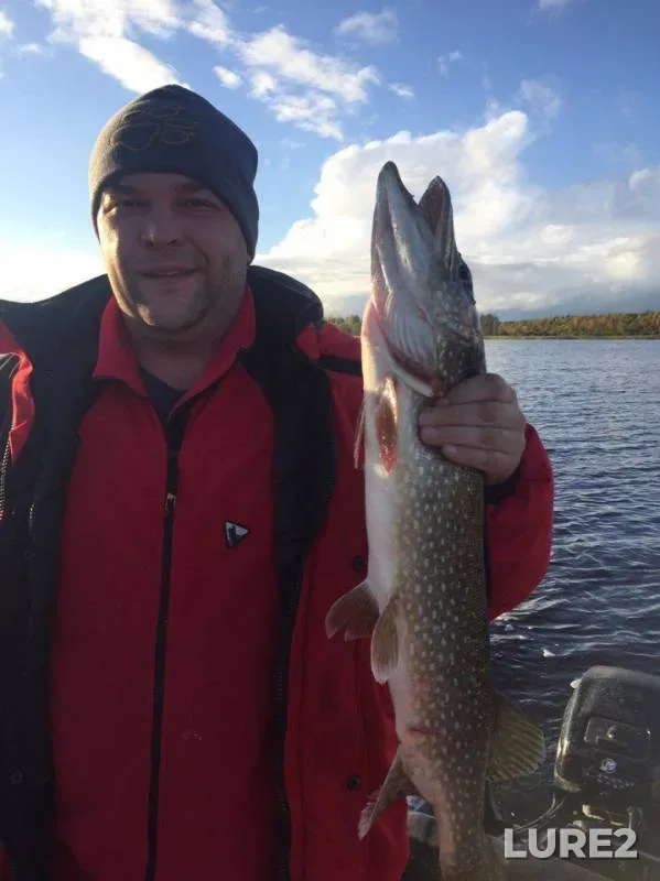 Pike — Mologa, Sep 30, 2016