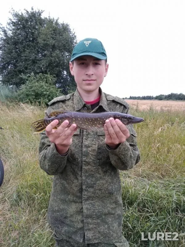 Pike — Bobrik, Jul 05, 2019