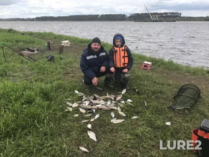 Bream — Kama, Jun 15, 2018