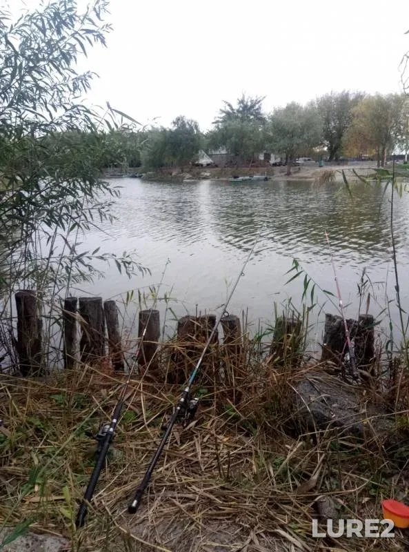 Crucian carp — Khersonska oblast, Oct 23, 2017