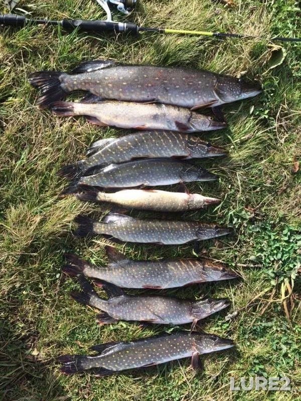 Pike — Grigorovskiy, Oct 09, 2017