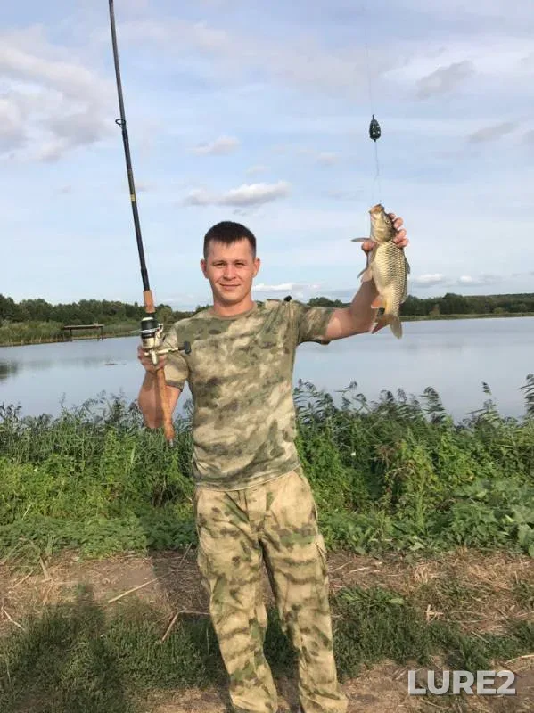 Carp, Crucian carp — Ulyanovskaya oblast, Aug 26, 2017