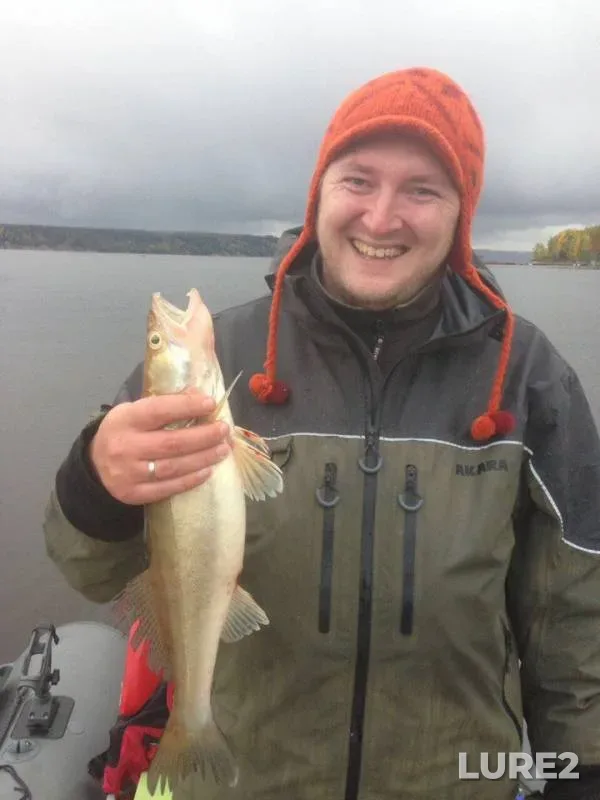 Perch, Zander — Kamckoye, Sep 29, 2017