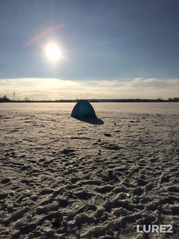 Roach — Shalovka, Jan 22, 2015
