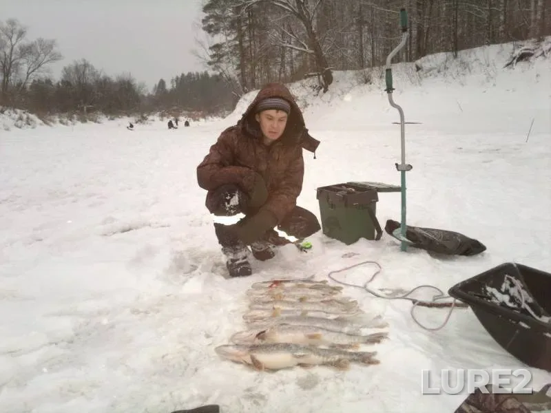 Pike — Pizhma, Dec 12, 2014