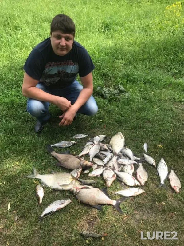 Bream — Moskva, Jun 01, 2019