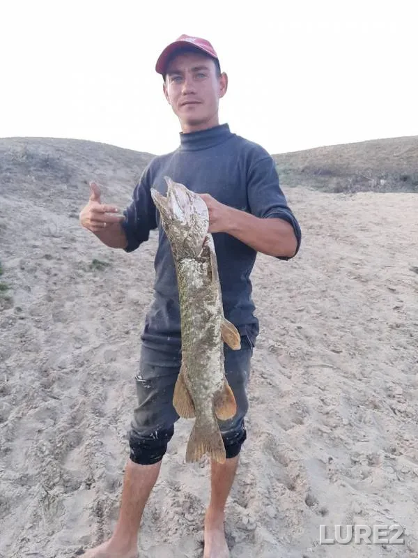 Pike — Donskaya tsaritsa, Jul 17, 2019