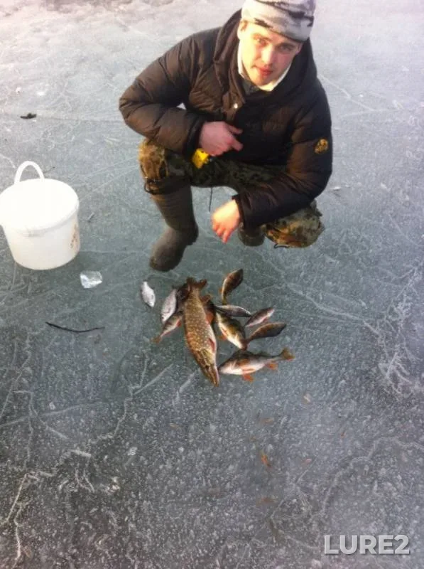 Perch, Pike — Besedz, Mar 10, 2016
