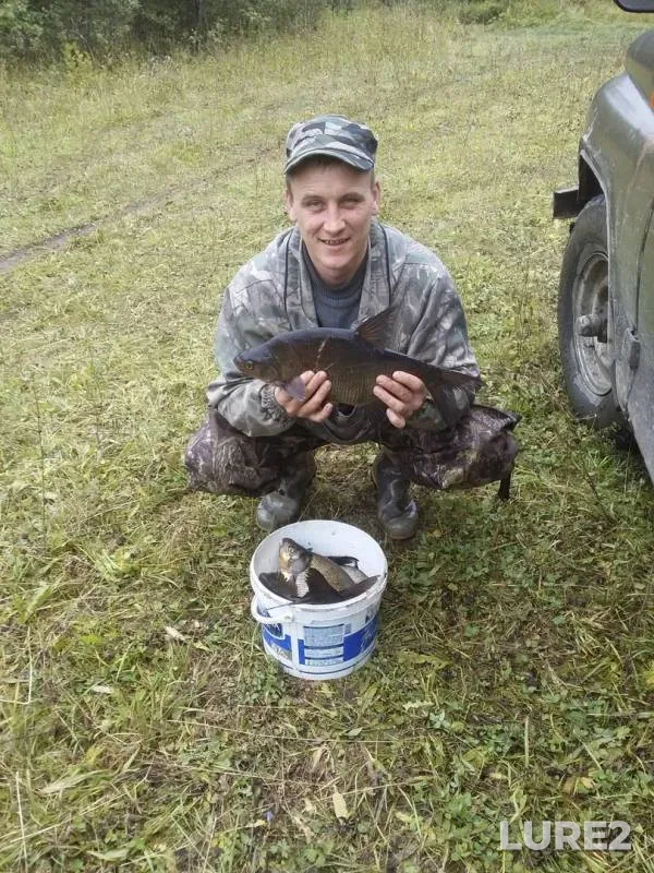 Bream — Pyshchozero, Oct 20, 2019