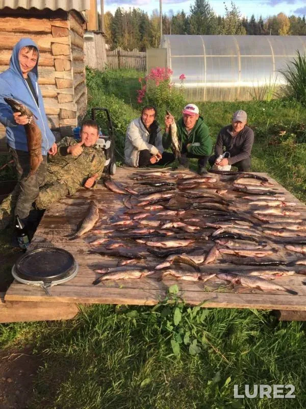 Pike — Timshor, Sep 17, 2019