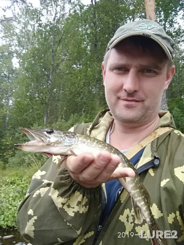 Pike — Syapsya, Sep 02, 2019