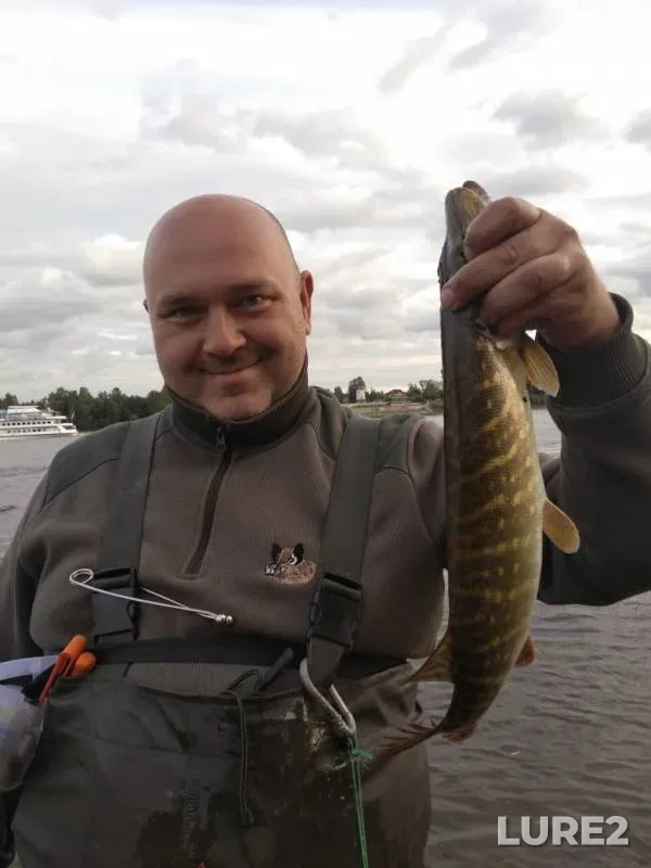 Pike — Bolshaya Izhorka, Aug 24, 2019
