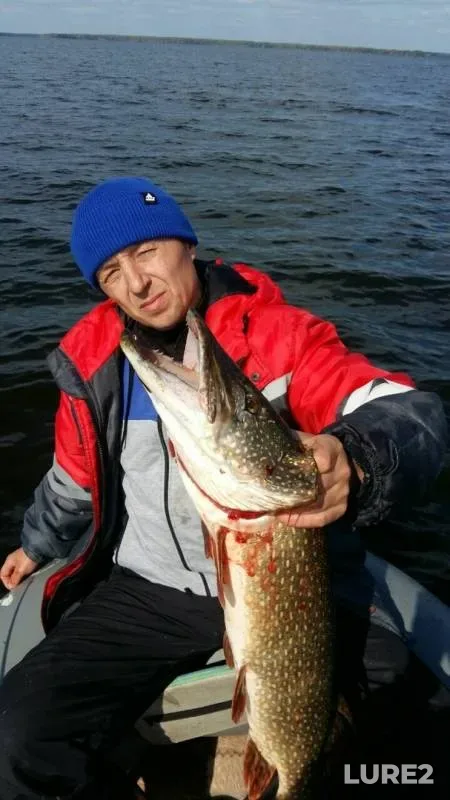 Pike — Arda, Sep 03, 2019