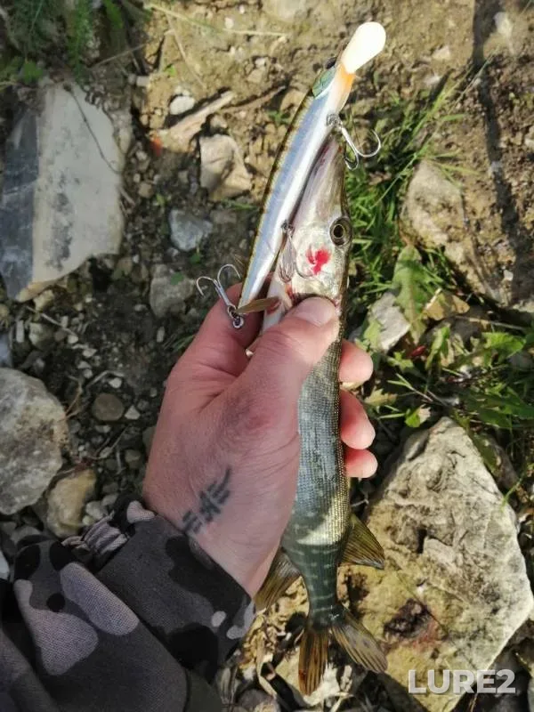 Pike — Nolka, Aug 26, 2019