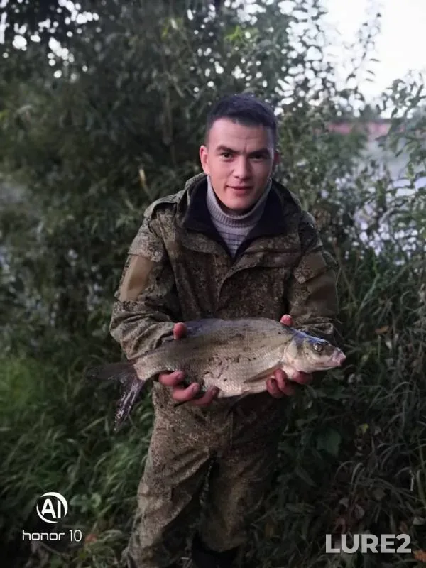 Bream — Malaya Kokshaga, Aug 24, 2019