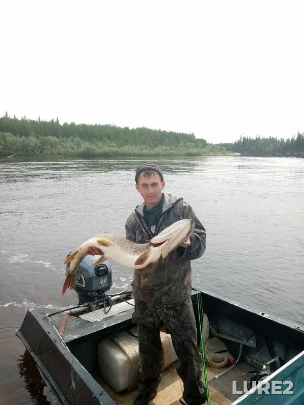 Pike — Yerkalnadeypur, Jul 26, 2019