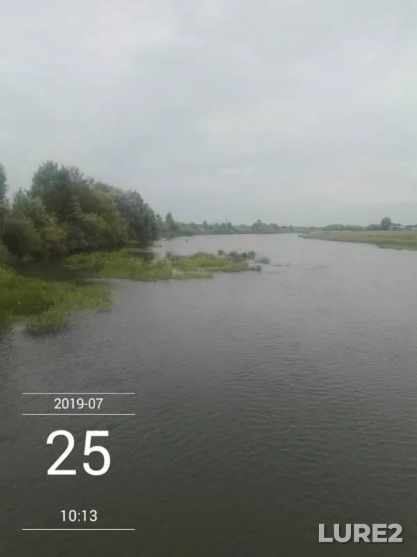 Bleak, Pike — Respublika Mordoviya, Jul 26, 2019