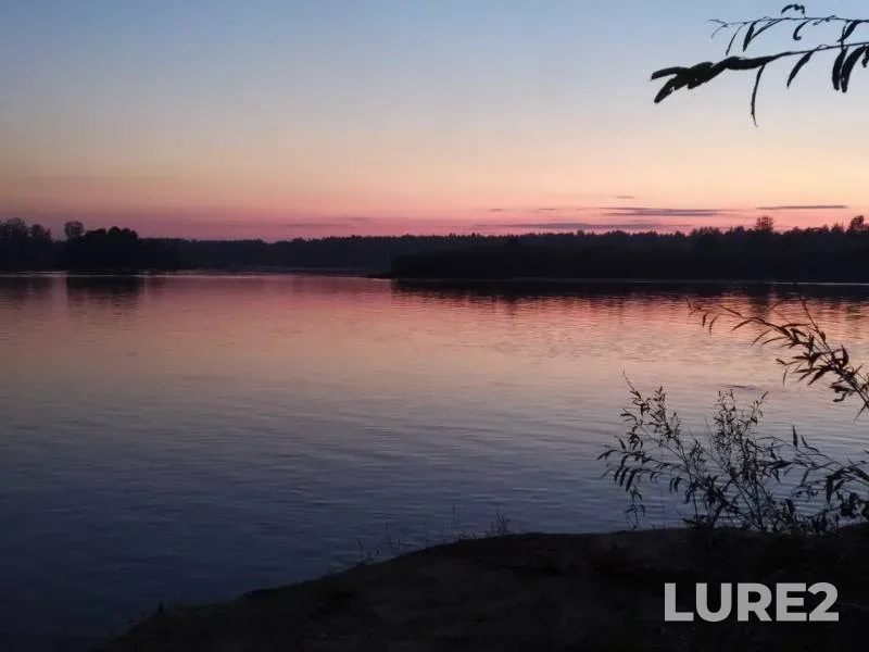 Bream, Ide — Vetluga, Sep 07, 2019