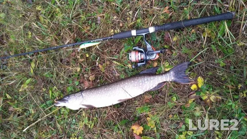 Pike — Nemda, Oct 27, 2019