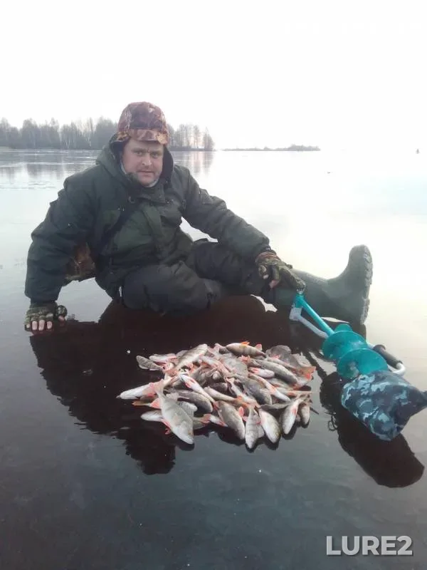 Perch — Cheboksarskoye, Nov 24, 2019