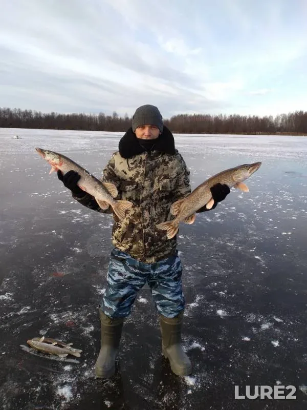 Pike — Ozyorskoye, Nov 25, 2019