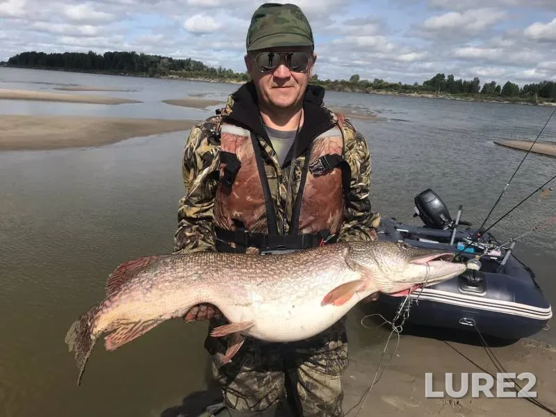 Pike — Zakhornoye, Aug 20, 2018