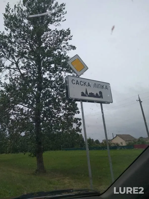 Carp, Crucian carp — Lipka, Jul 08, 2019