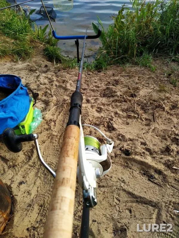 Bream, White bream — Neman, Sep 25, 2019