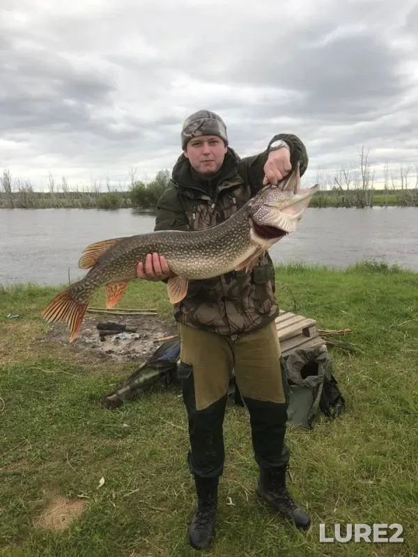 Pike — protoka Podrezova, Jun 15, 2019