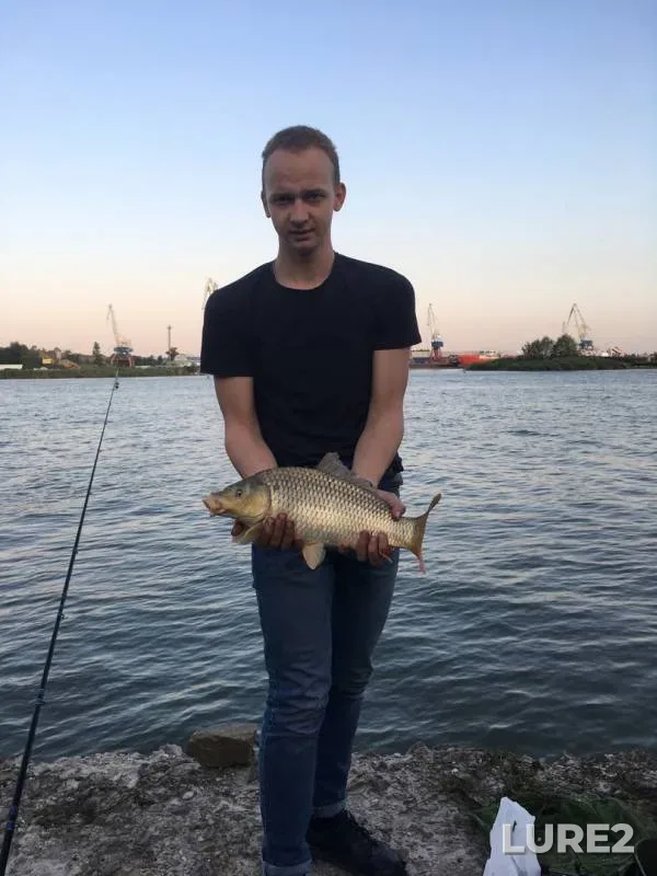 Carp — Don, Aug 07, 2019