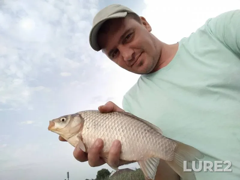 Crucian carp — girlo Bolshaya Kuterma, Aug 16, 2019