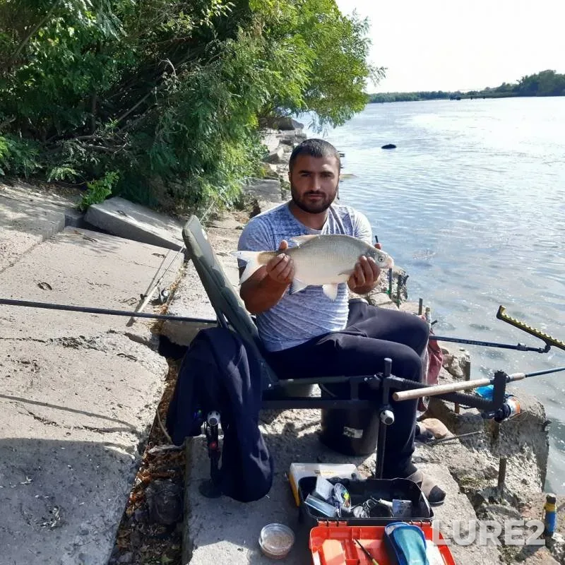Bream — Don, Sep 12, 2019