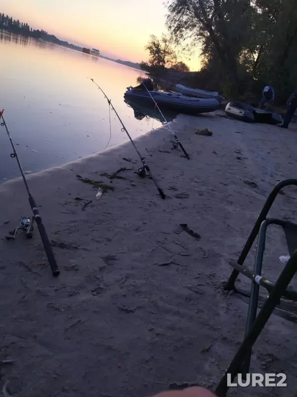 Carp, Crucian carp — Cherkasskaya, Sep 14, 2019