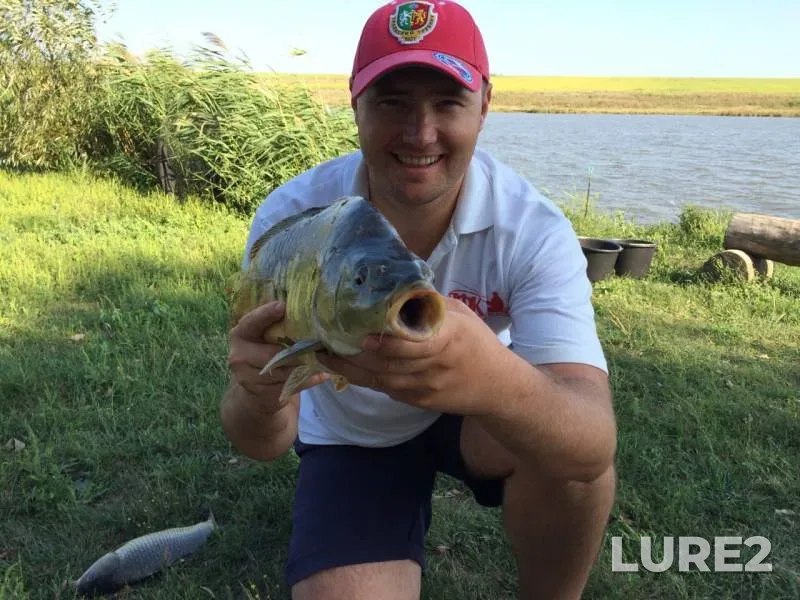Carp — Kagalnik, Oct 16, 2019