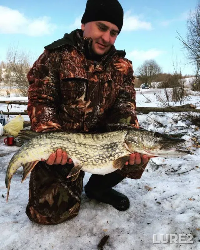 Pike — Deryazhenka, Feb 17, 2019