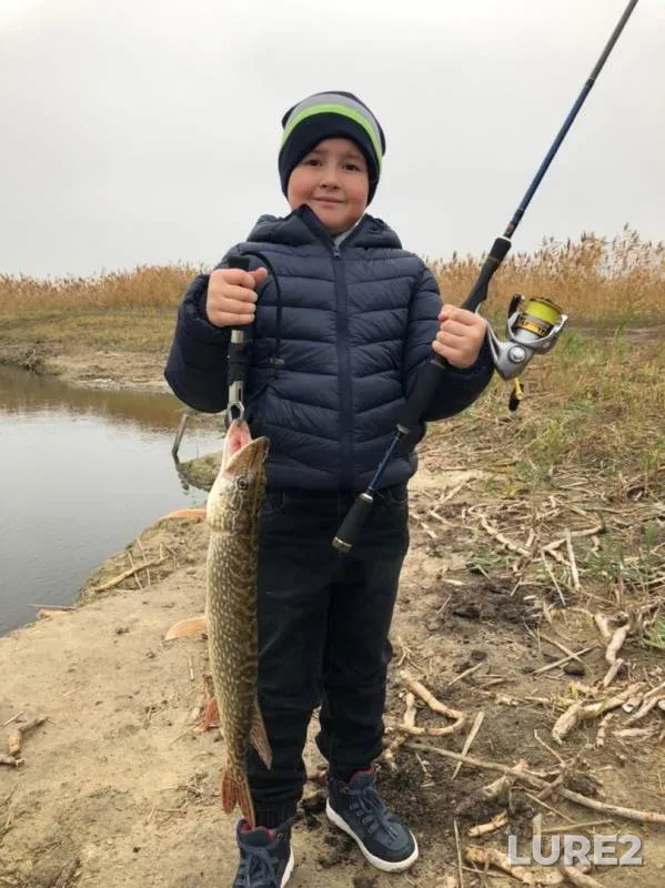 Pike — Rostovskaya oblast, Oct 20, 2019