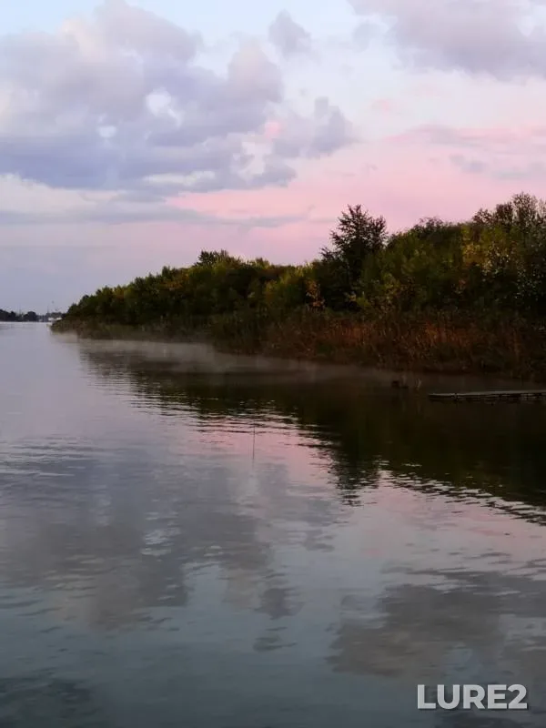 Bream — Don, Sep 22, 2019
