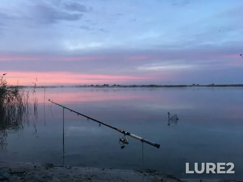 Bream, Crucian carp — rukav Kalancha, Oct 09, 2019