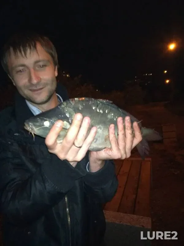 Carp — Tretiy, Sep 19, 2019