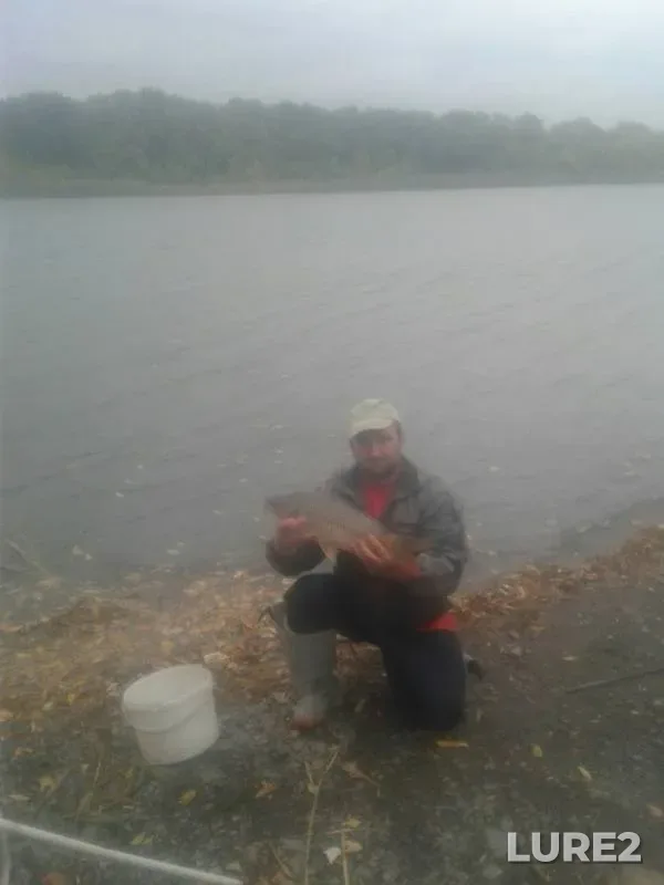 Crucian carp — Don, Sep 22, 2019