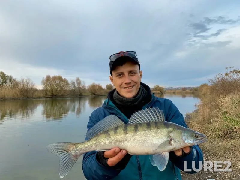 Perch — Rostovskaya oblast, Nov 05, 2019