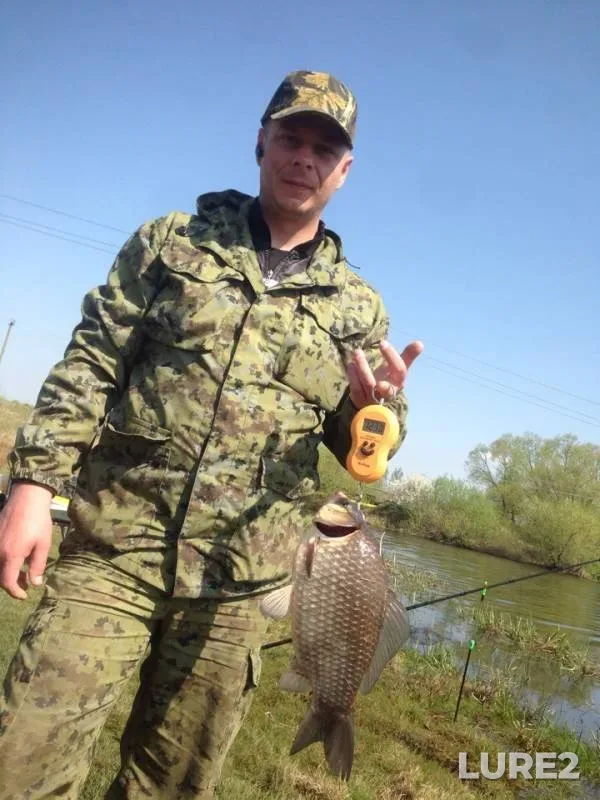 Crucian carp — Minskaya oblast, Borisovskiy rayon, Apr 27, 2019