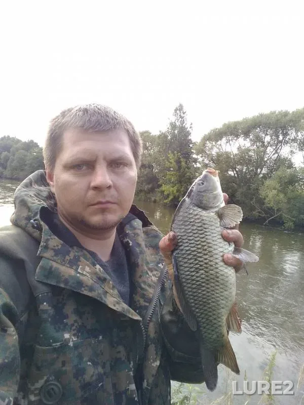 Carp, Wels catfish — Svisloch, Aug 02, 2019