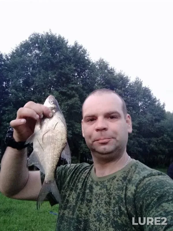 Bream — Svisloch, Aug 02, 2019