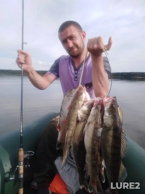 Zander — Orpa, Aug 12, 2019