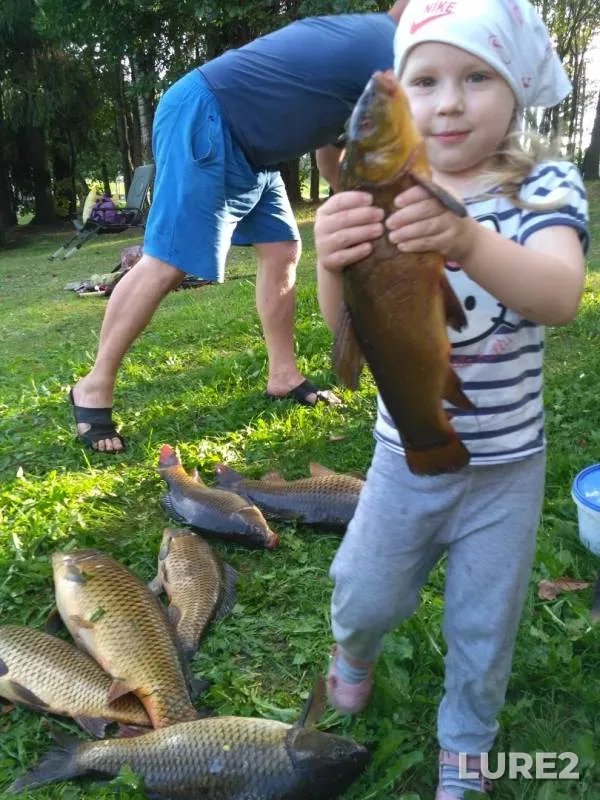 Tench — Isloch, Aug 26, 2019