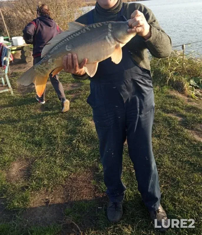 Carp — №10, Oct 23, 2019