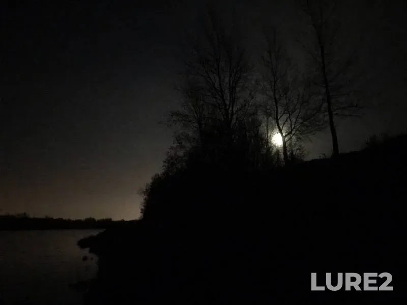 Burbot — Tura, Oct 09, 2019