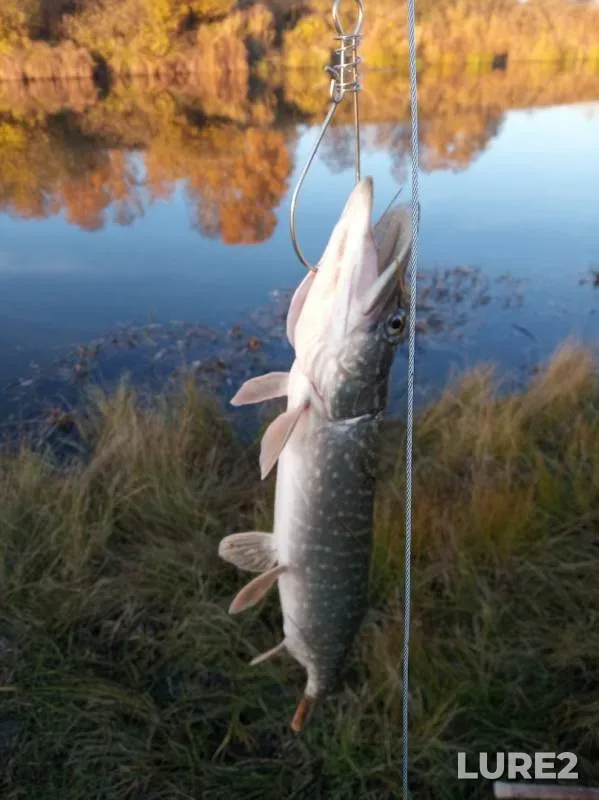 Pike — Pyshma, Oct 06, 2019