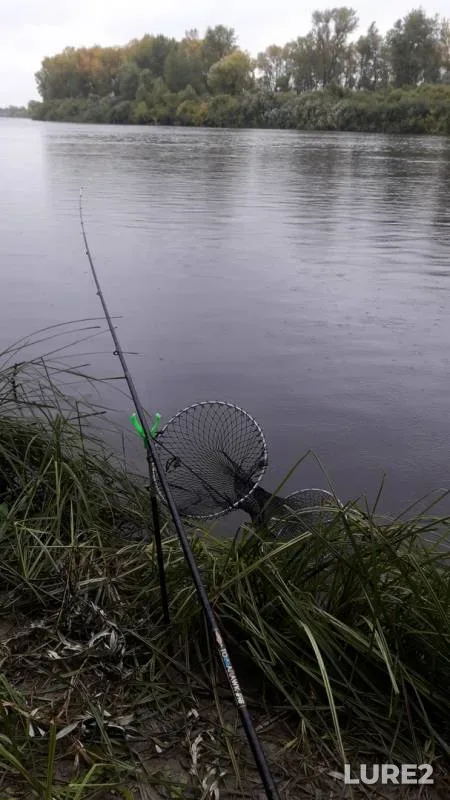 Bream — Tura, Sep 12, 2019